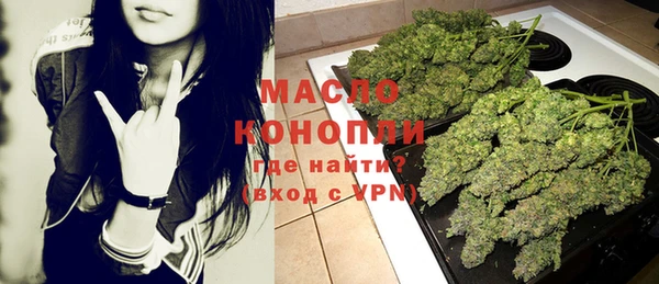 дживик Бородино