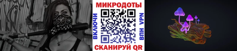 Купить Горбатов Галлюциногенные грибы мицелий